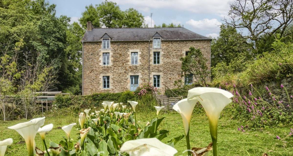 Le Moulin De Gueuzon Apartment Rochefort-en-Terre Exterior photo