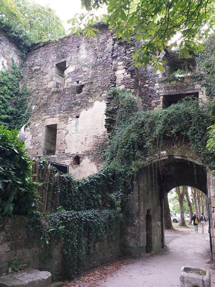 Le Moulin De Gueuzon Apartment Rochefort-en-Terre Exterior photo